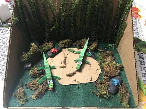 Alligator habitat diorama