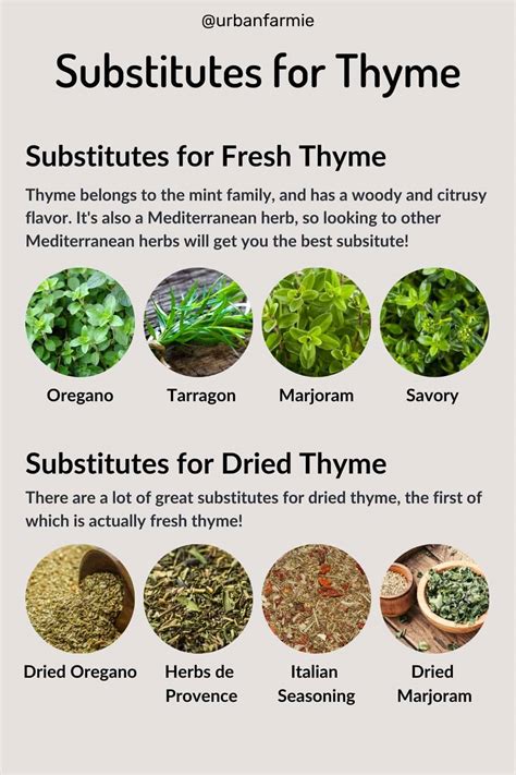 Alternatives to Fresh Thyme