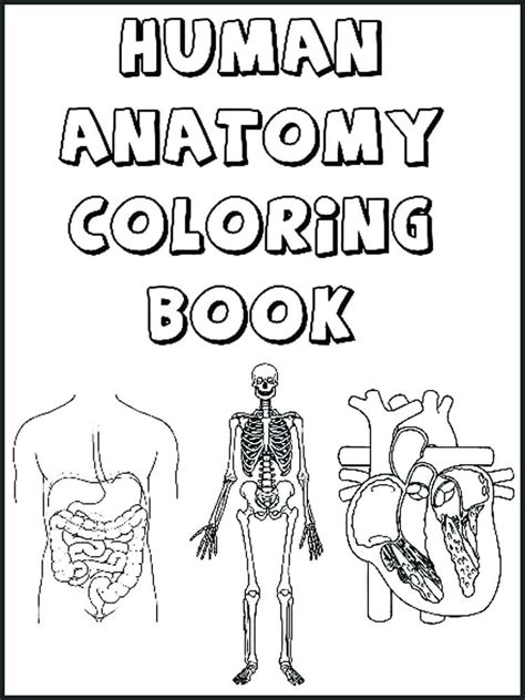 Anatomy Coloring Book for Kids