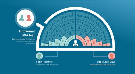 Ancestry Testing