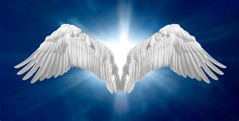 Angel Wings Image