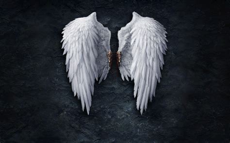 Angel Wings Photography