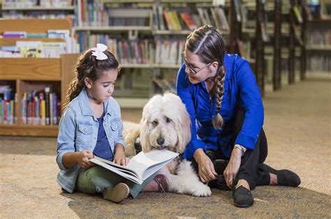 Animal Education