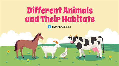 Animal Habitat Templates for Conservation Efforts