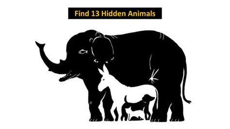 Animal hidden pictures printables