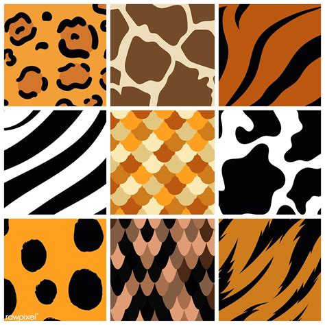 Animal Patterns