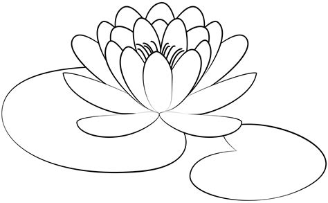 Applications of Lily Pad Printable Template