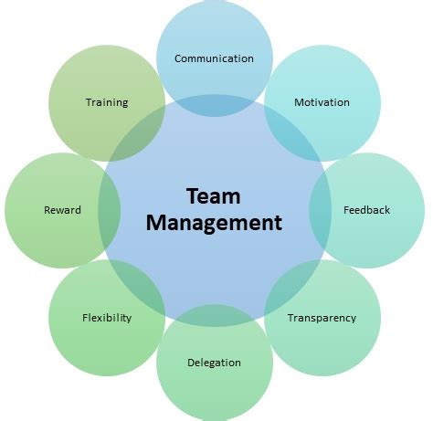 applying 7 person templates team management image