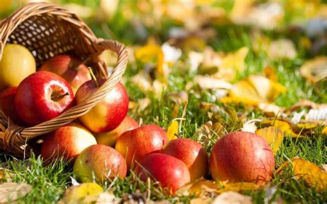 Autumn Apple Basket