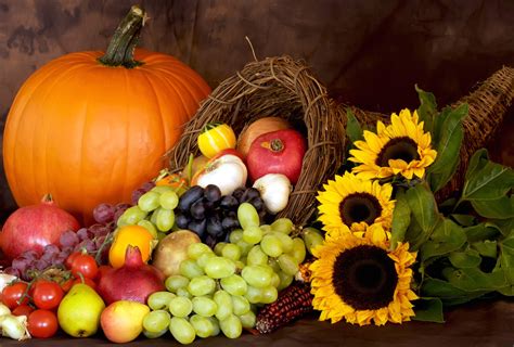 Autumn harvest cornucopia