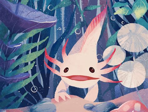 Axolotl illustrations