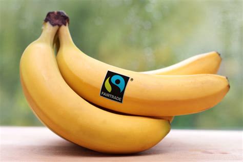 Fair Trade Practices in the Banana Industry