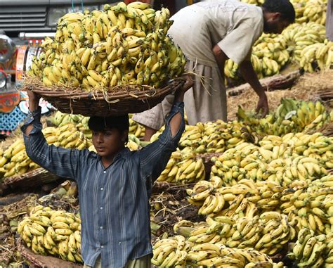 Challenges Facing the Banana Industry