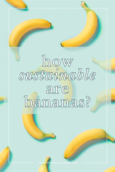 Sustainable Banana Production