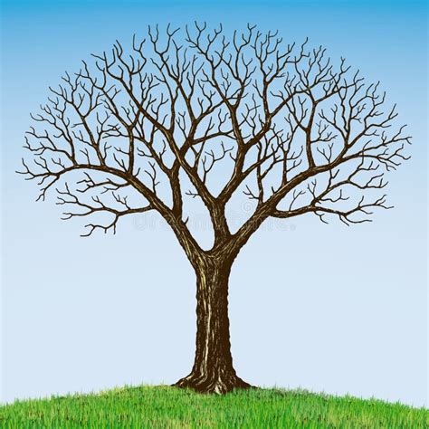 Bare Tree Illustration