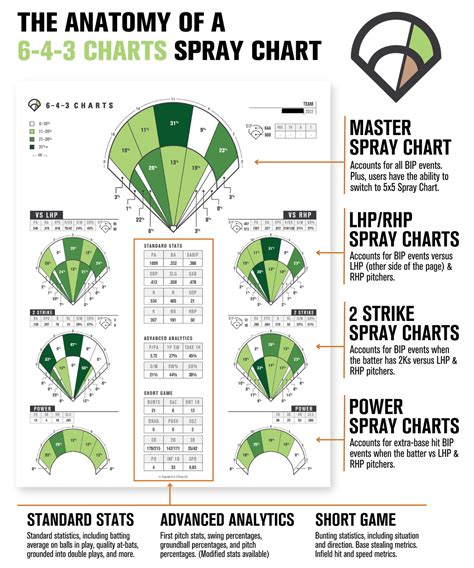 Baseball Spray Chart Infographic