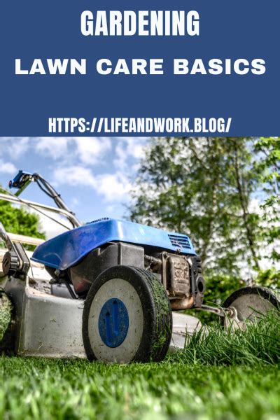 Basic Lawn Care