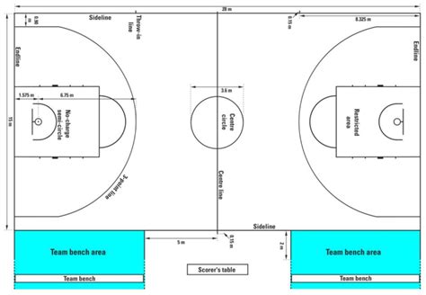 Basketball court design elements