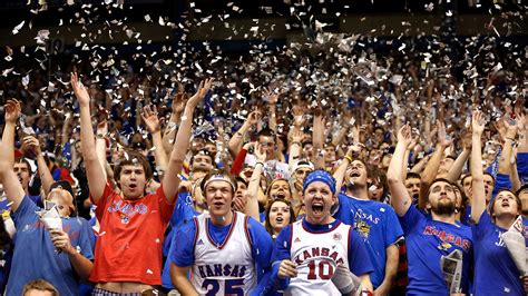 Basketball Fan