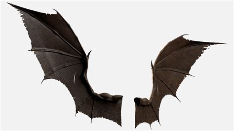 Bat Wings Ideas and Inspiration