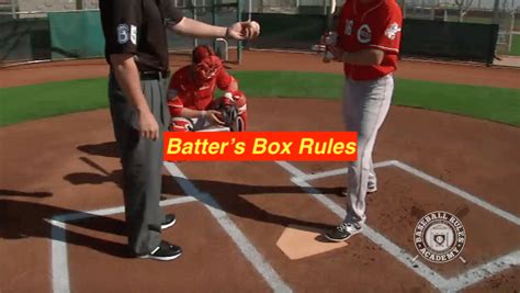 Batter's Box Rules