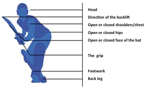 Batting Techniques in Softball