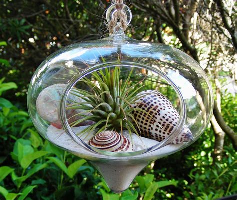 Beach Terrarium Inspiration