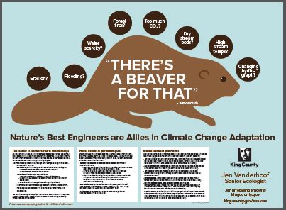 Description of Beaver Environmental Impact