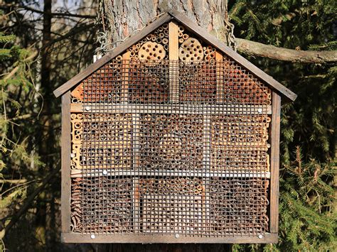 Bee Hotel Plans