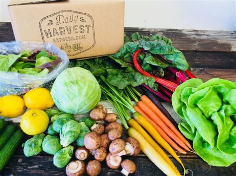 Benefits of Ebt Organic Fresh Boxed Produce Delivery