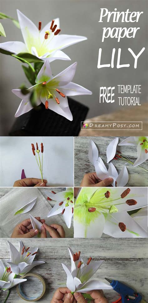 Benefits of 3D paper lily templates