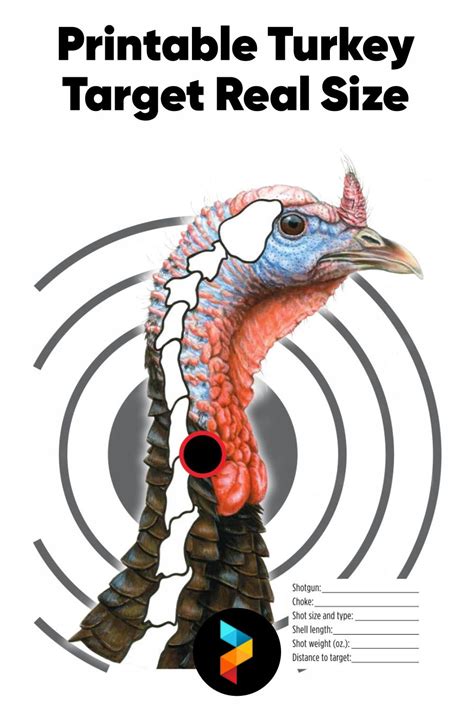 Benefits of Using Free Printable Turkey Targets