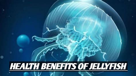 Benefits of Using Jellyfish Templates