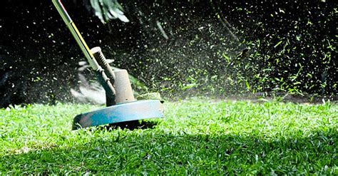 Benefits of lawn maintenance