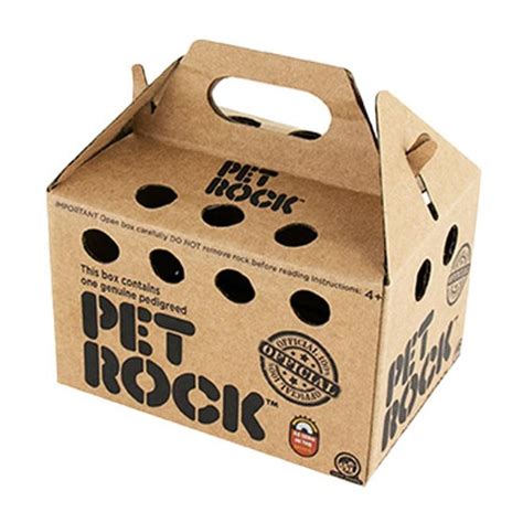 Benefits of pet rock boxes