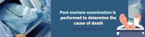 Benefits of Post Mortem Templates