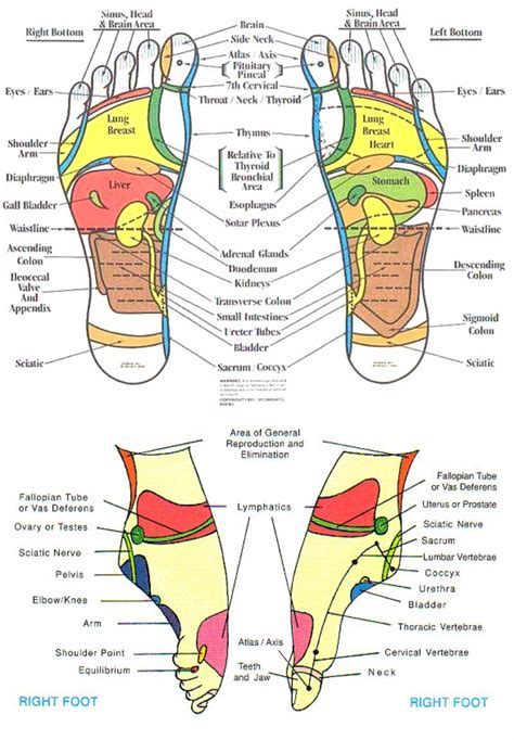 Benefits of Printable Guide