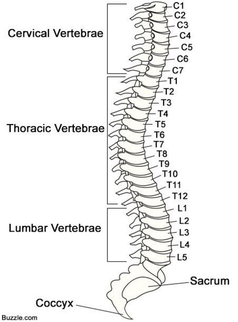 Benefits of using spine label templates