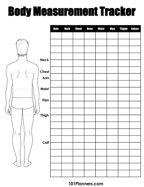 Benefits of Using a Free Body Measurement Chart