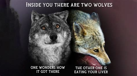 Benefits of using the two wolves meme