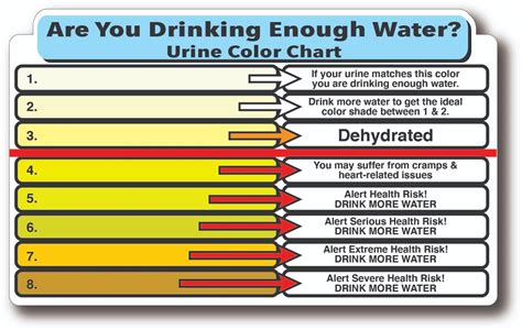 Benefits of Using Urine Hydration Charts