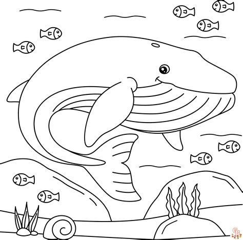 Benefits of Whale Coloring Pages