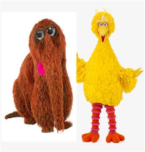 Description of Big Bird