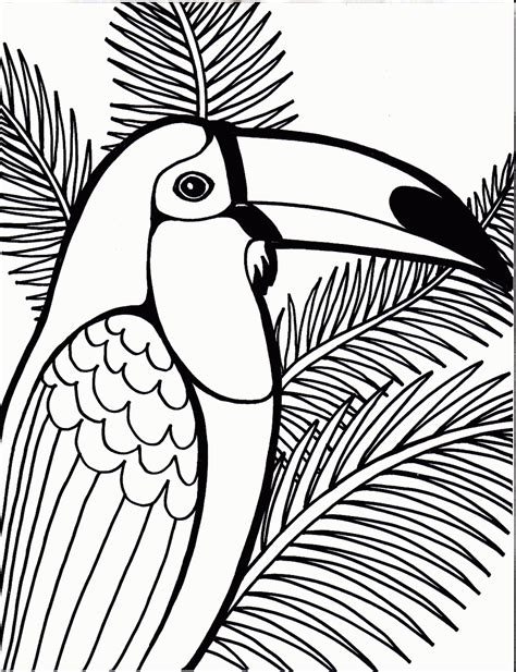 Bird Coloring Pages