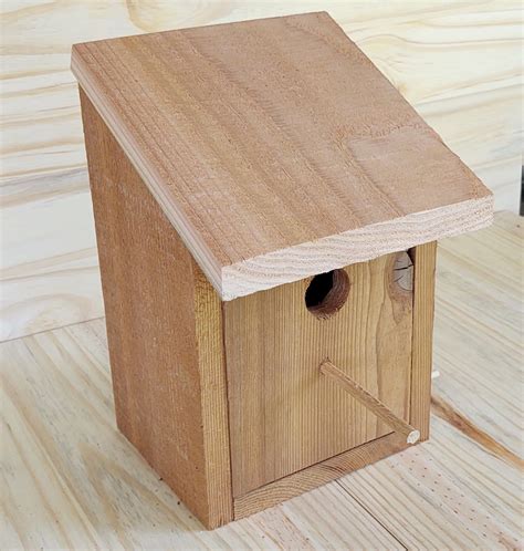 Birdhouse Kits