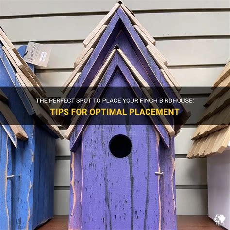 Birdhouse Tips