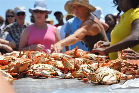 Blue Crab Festival