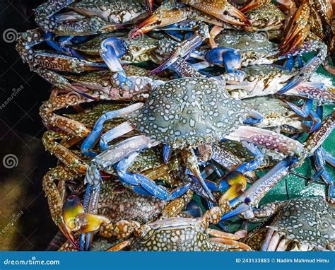 Blue Crab Market