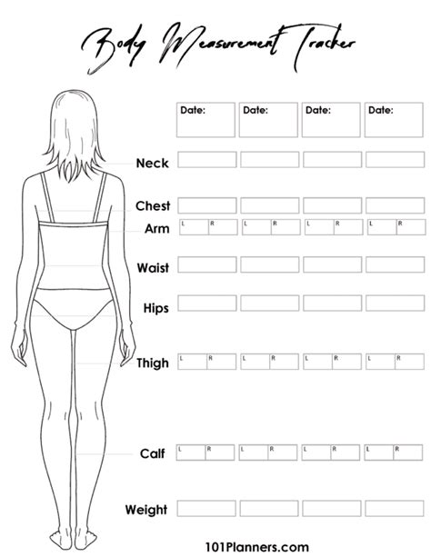 body measurement chart fashion