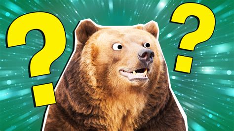 Brown bear quiz